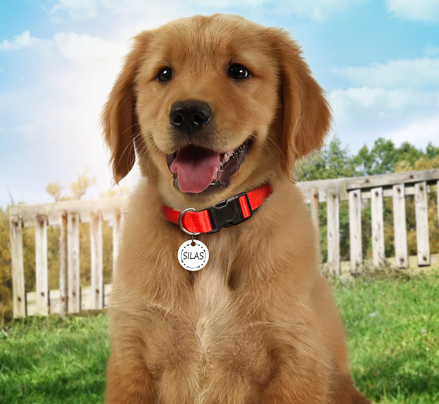 Personalized Pet ID Tags Round
