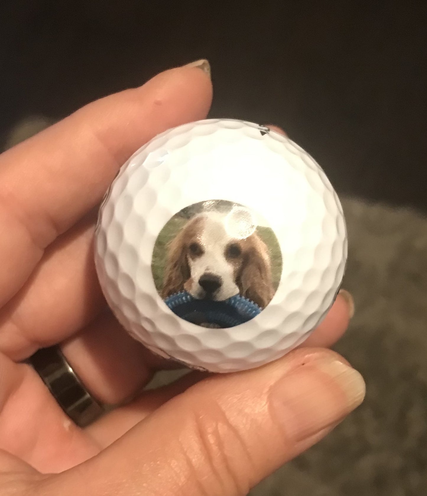 Pet Photo Golf Balls (unbranded)