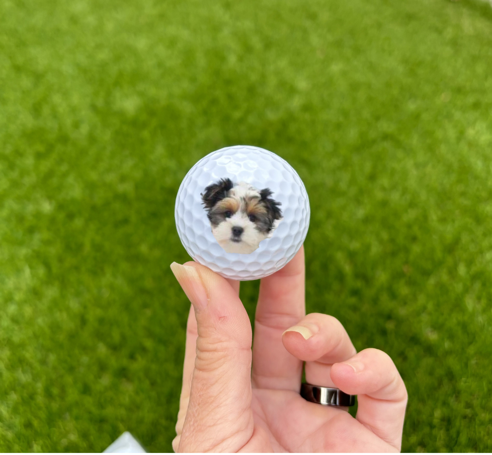 Pet Photo Golf Balls (unbranded)