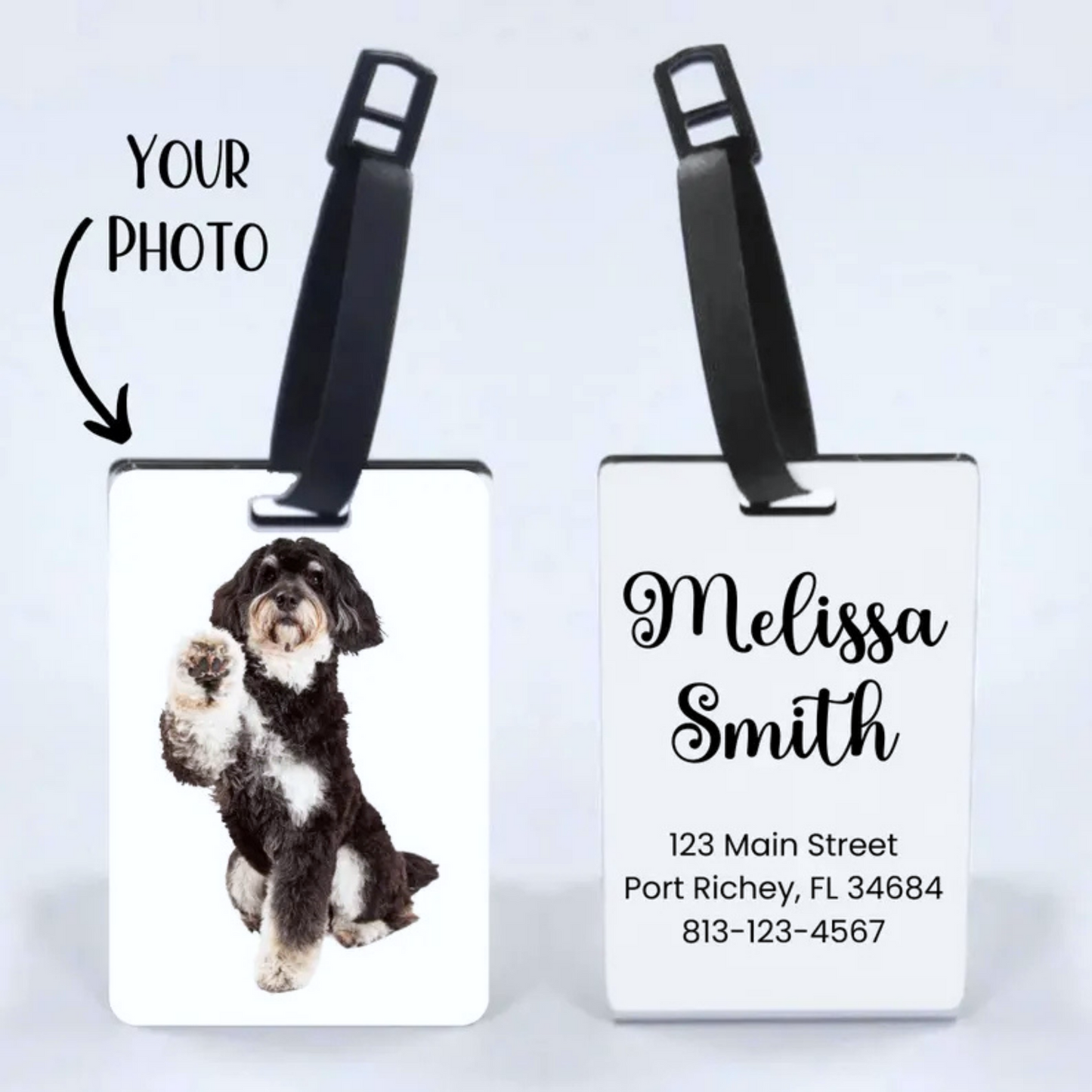 Luggage Tags Family - Vacation Reunion